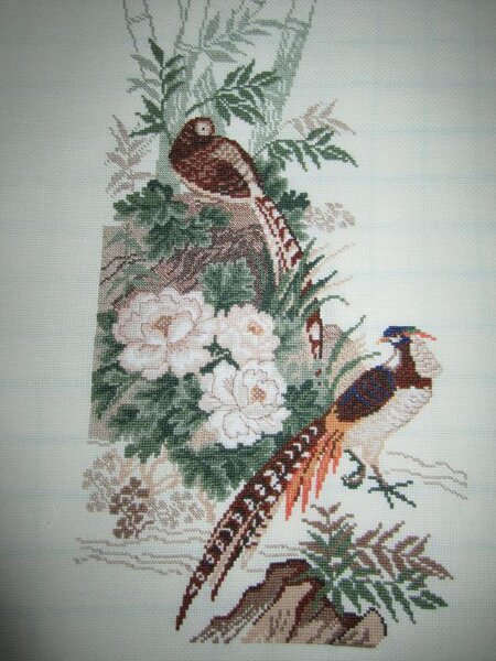 Фазаны от Риолис