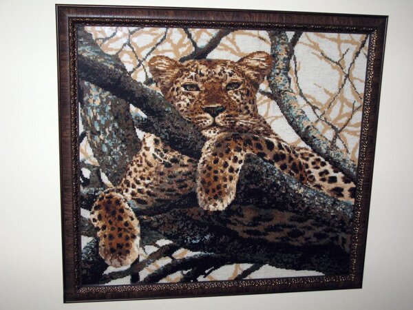 Риолис Леопард