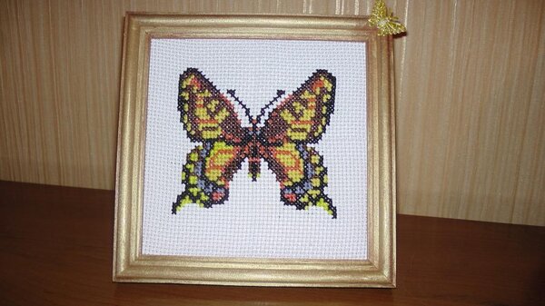 Первые шаги