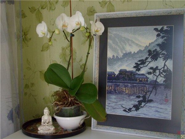 gallery 3005 1236 12222