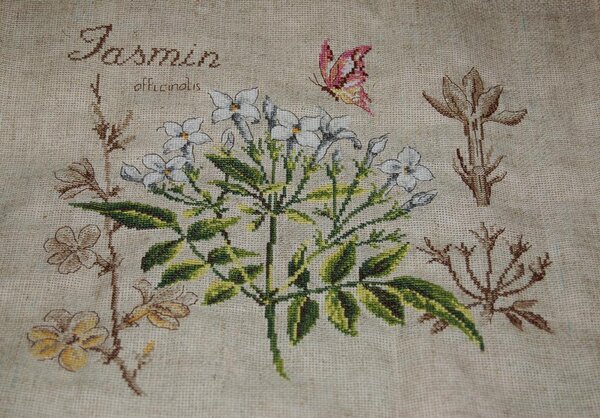 жасмин из серии Ботаника  DFEA