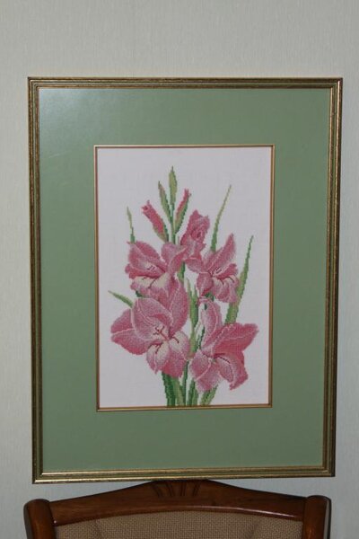 Гладиолусы для подруги на ДР