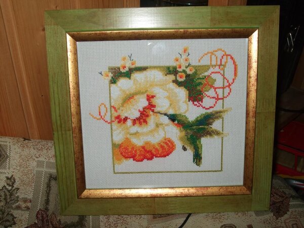 Колибри от Риолис