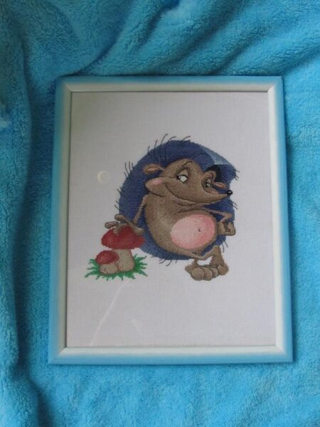 Ежик оделся