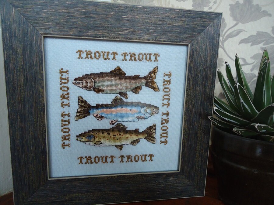 Trout (схема из буклета Touch of Tartan от Stoney Creek 1985 года. Очень долго искала эту схему, купила в винтажном магазине схем в США. )