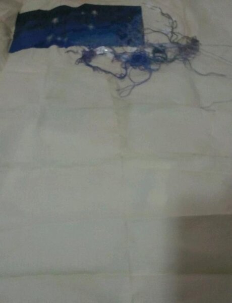 1  3 й листы. Общий  вид вышивки.    Всего 12798кр.