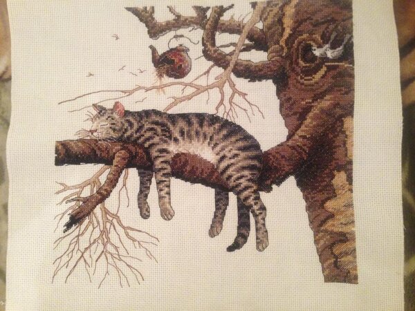 Знаменитытый котяра-лежебока) набор Dimensions 35087 "Кот на дереве". 28*28, аида 14 слоновая кость. Где-то один црестик сбоку недовышила))), только сейчас увидала))))