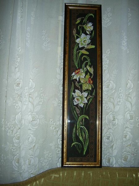 нарциссы   панель