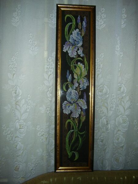 ирисы   панель