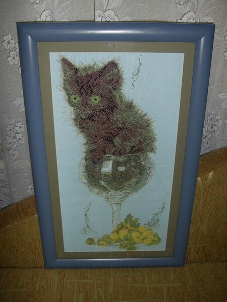 котёнок в фужере