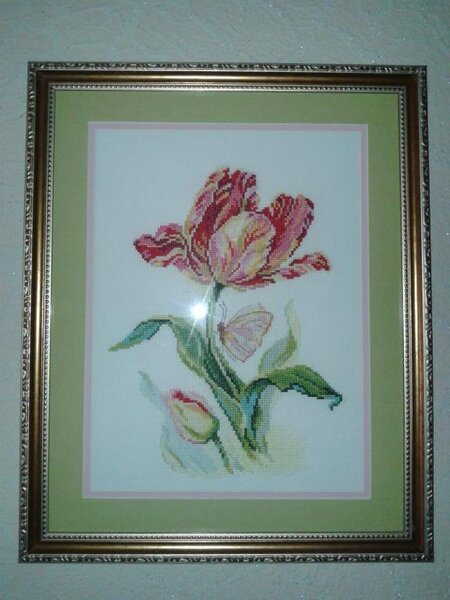 одежка 2014 г