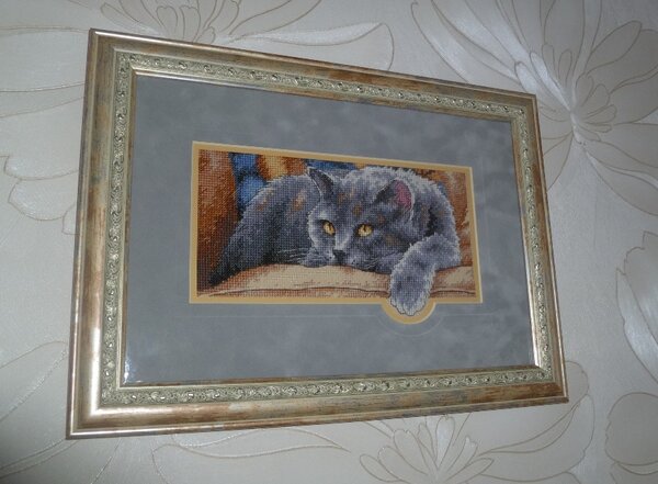 Кошечка Жульетта в подарок тете)))