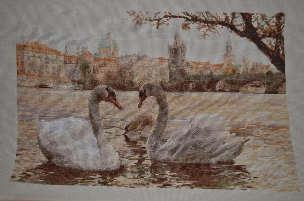 Риолис. Лебеди Праги