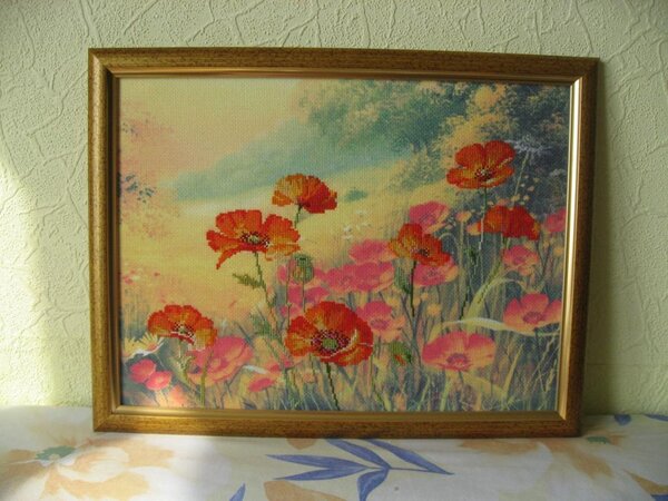 маки риолис