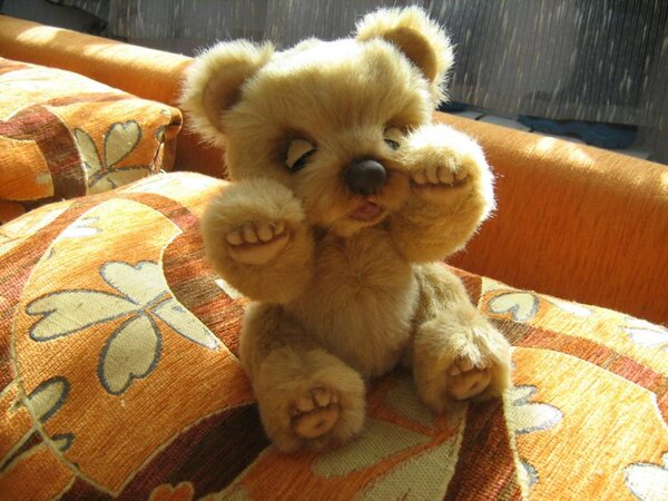 Топтыжка ростом 20 см. теперь закрыл.