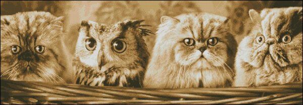 Чужой
РМ
http://yadi.sk/d/xogJenBqRVYXB