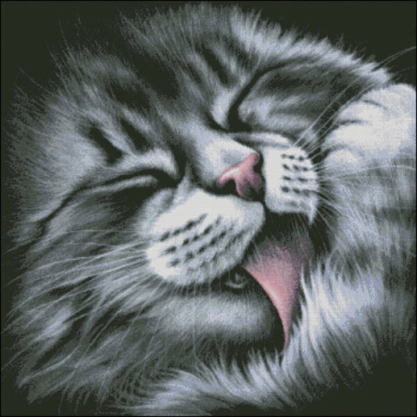 Умывающийся котик
большой 63,5*63,5 см. 350*350 крестиков 28 цветов, из них 7 блендов
ПДФ больш https://yadi.sk/i/ifjMJKxPbZUsu
РМ больш https://yadi.sk/d/vTtS6Ud2bZUsq