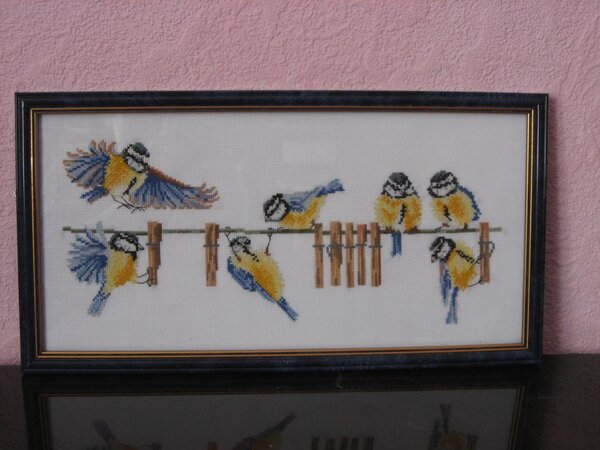 СИНИЧКИ. Из журнала