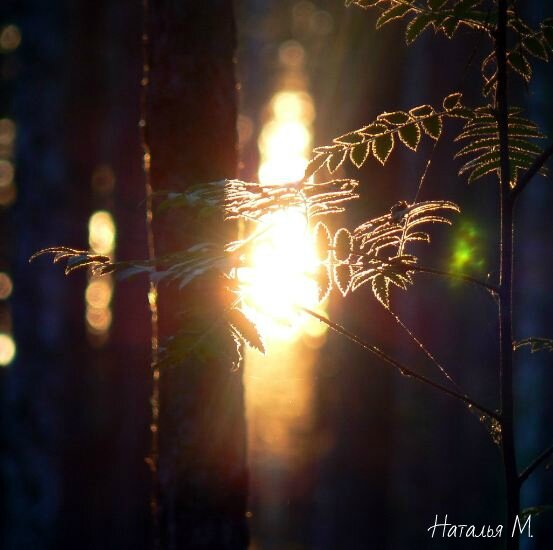 "Этот мир прекрасен и мне бы, хотелось бы быть таким же красивым,
Но я знаю, до самого края неба, на всех дорогах танцует Шива." 
(Ка Па Дзонг)