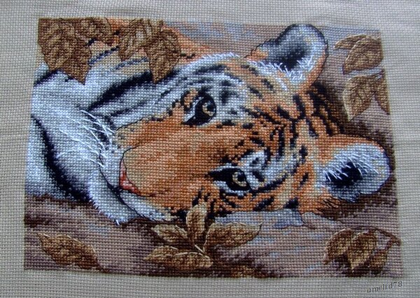 Отдыхающий тигр (Дименшионс)