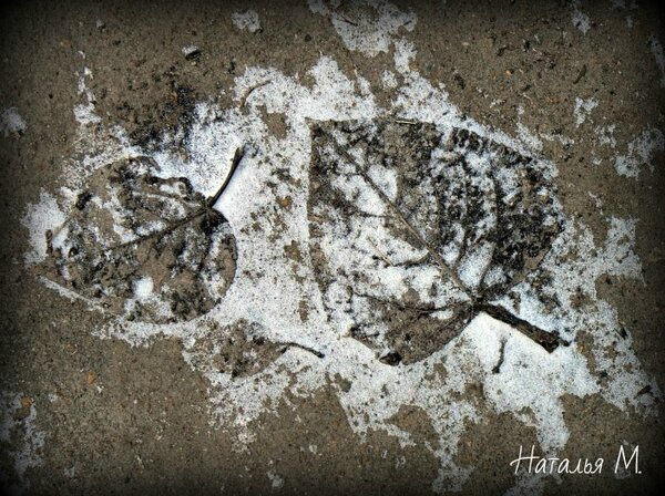 "С ветки падающий лист
В день осенний золотист
Он по воздуху кружится
И танцует как артист
С ветки падающий лист.."
(Чёрный кофе)