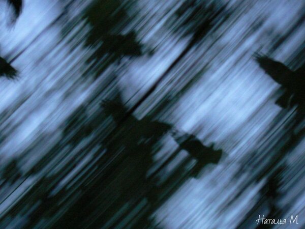 "Я видел ночь и падающих птиц.
И слышал как всплакнула тишина,
Когда была объявлена война
По поводу отсутствия границ.." 
(Ка Па Дзонг)