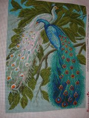 54449379 1264728425 37732764 5i