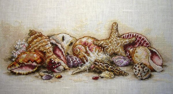 Seashell Treasures 65035 Dimensions