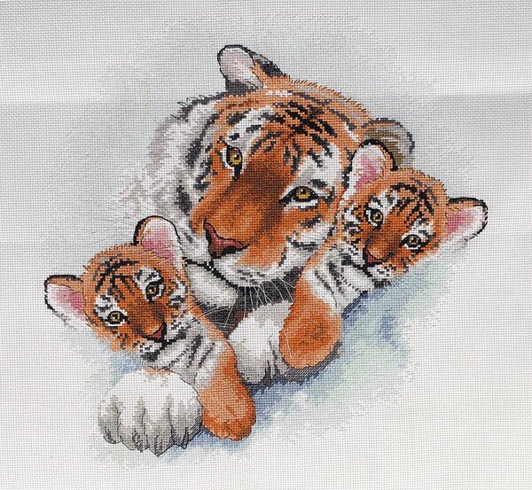 СИБИРСКИЕ ТИГРЫ-dimtnsions