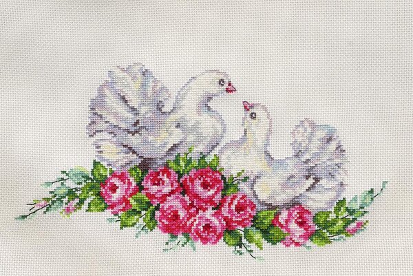 ГОЛУБКИ-алиса