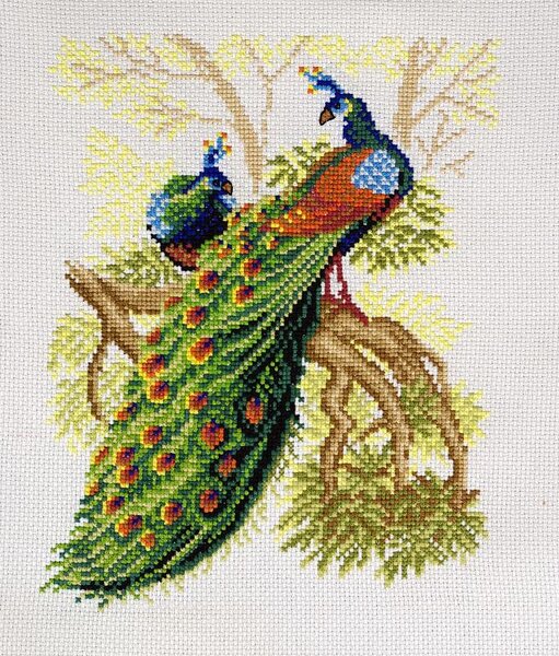 ПАВЛИНЫ-Печатный рисунок на канве-искусница