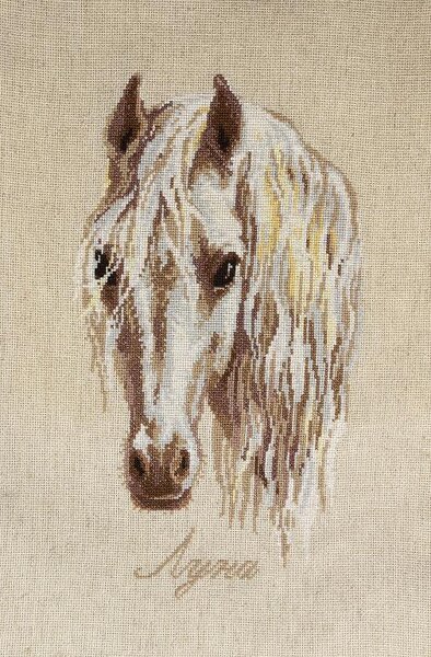 Лошадь Луна-