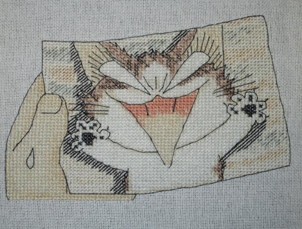 Чи2
80х60 крестиков,DMC