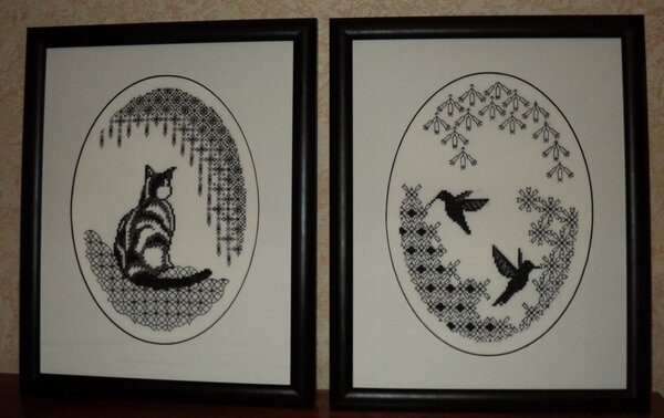 Кошка, Колибри (Блекворк)