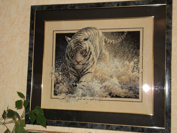 Белая молния (Дим)