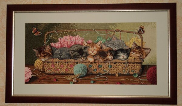 Котята (Дим)