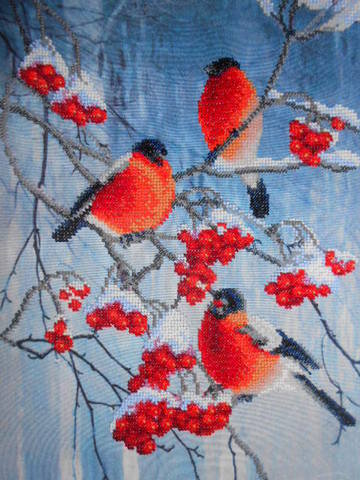 *Яркие краски зимы* 
Чаривна Мить