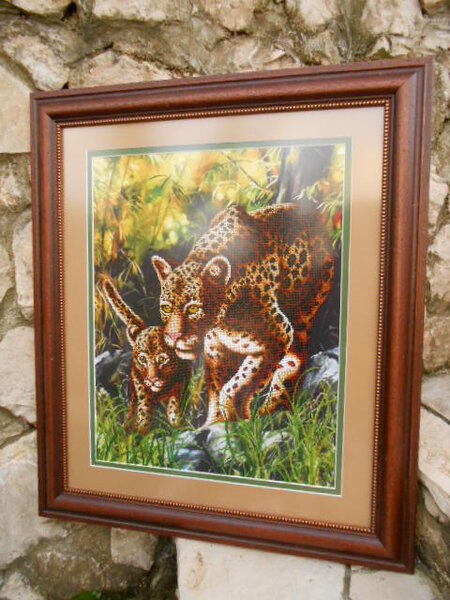 *Первый урок*
Магия Канвы