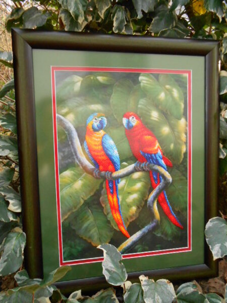 *Краски джунглей*
Магия Канвы