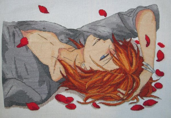 Ren
210х150 крестиков,DMC