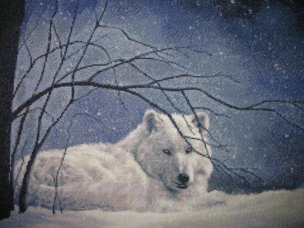 "Белый волк".