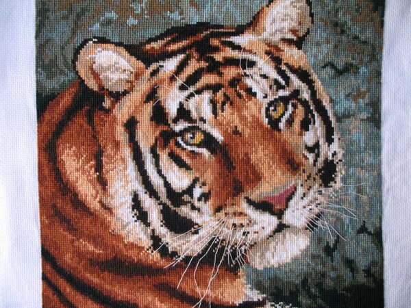 "Амурский тигр".