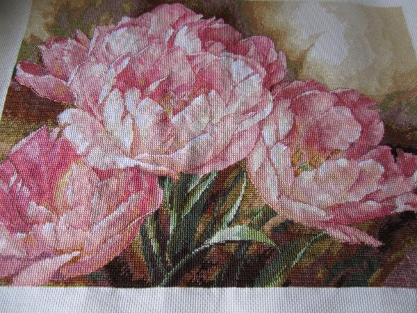 Трио тюльпанов от Дименшенс.