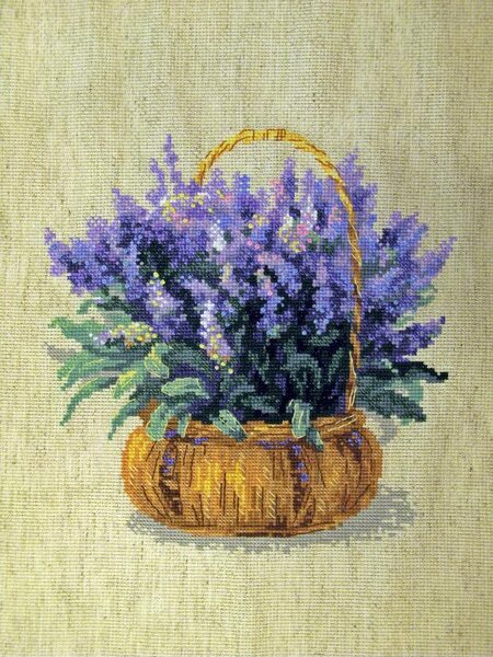 Французская лаванда "Риолис"