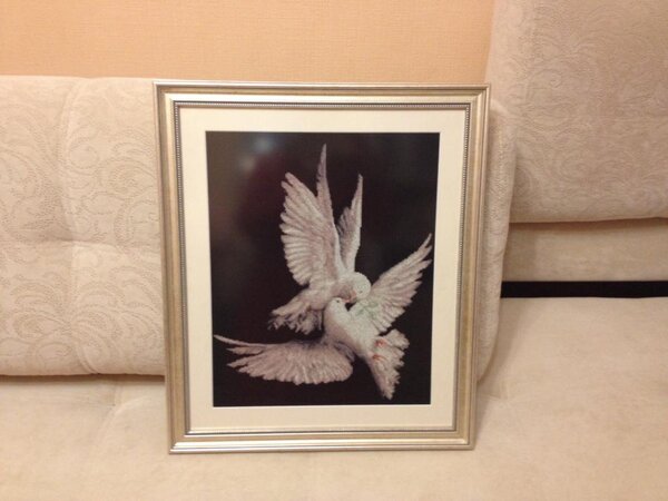 Моя голубка