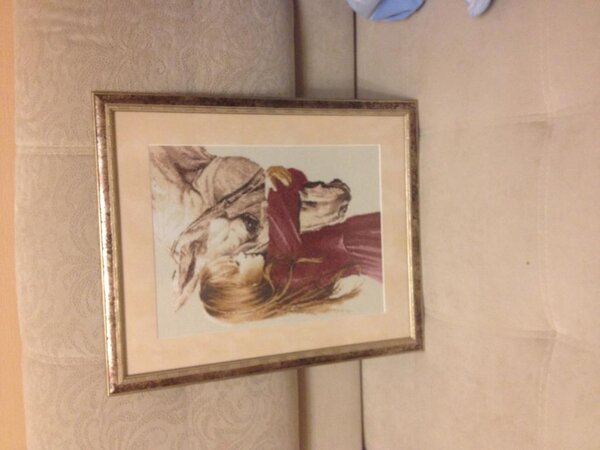 Девочка с лошадью