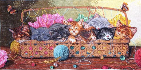 Новорождённые котята Dimensions