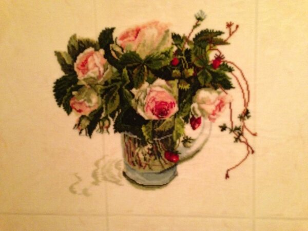 Розы и Земляника, мой первый Фуджик