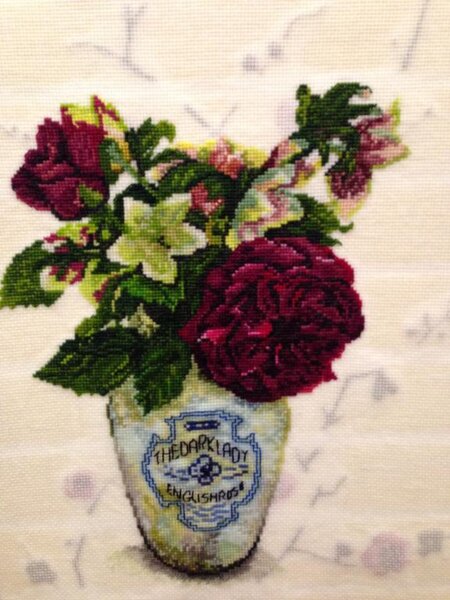 Розы Дак Леди