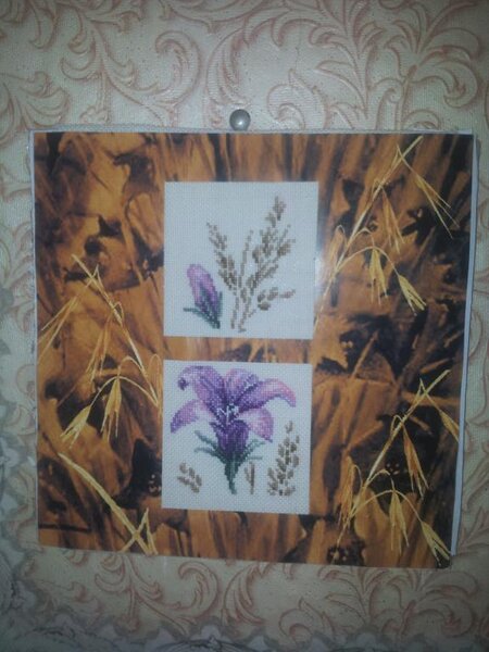 Золотое руно